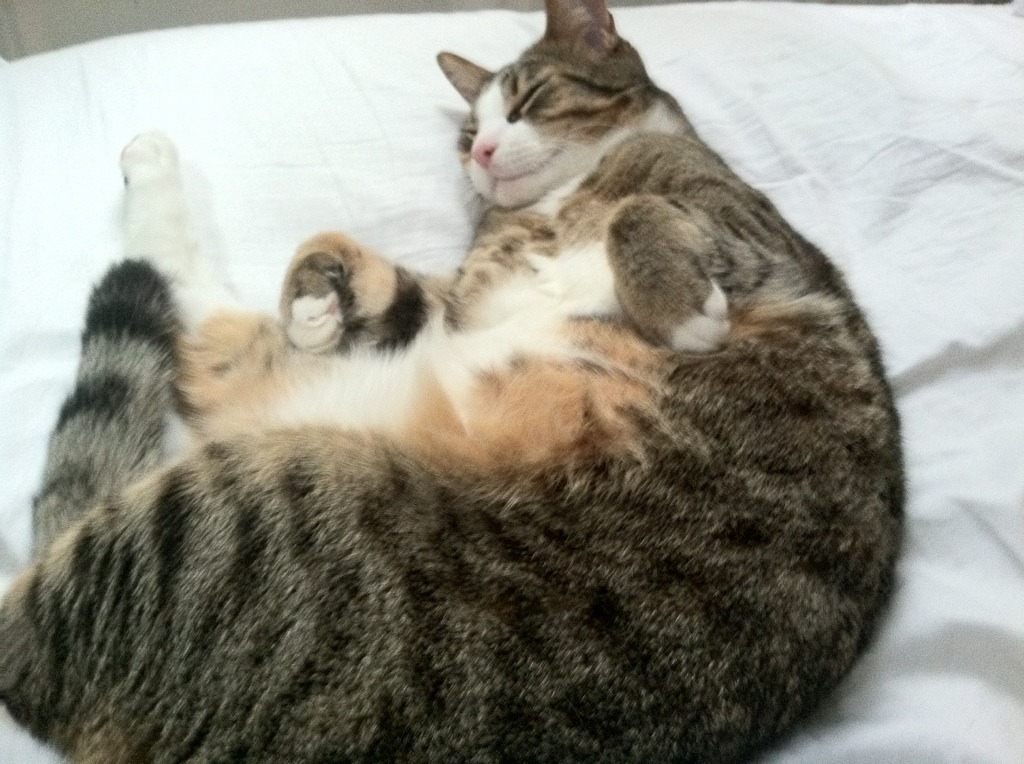 爱游戏电竞官网-《高校电竞专业快速发展，行业人才供需平衡待解》，电竞成为高校专业