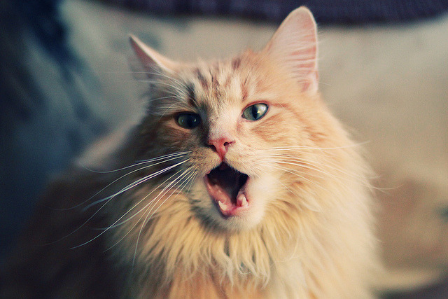 AYX体育-【布局思想】奥沙利文的多角度、多方案攻势谋划，奥沙利文破百