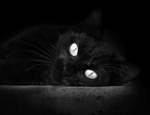 爱游戏中国官方登录入口网站-未来球星追踪：哪些新人有望成为联盟领袖？，未来篮球巨星