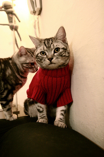 爱游戏平台-未来智慧足球场馆实现“全场景”智能控制，提升使用体验，足球智能云科技