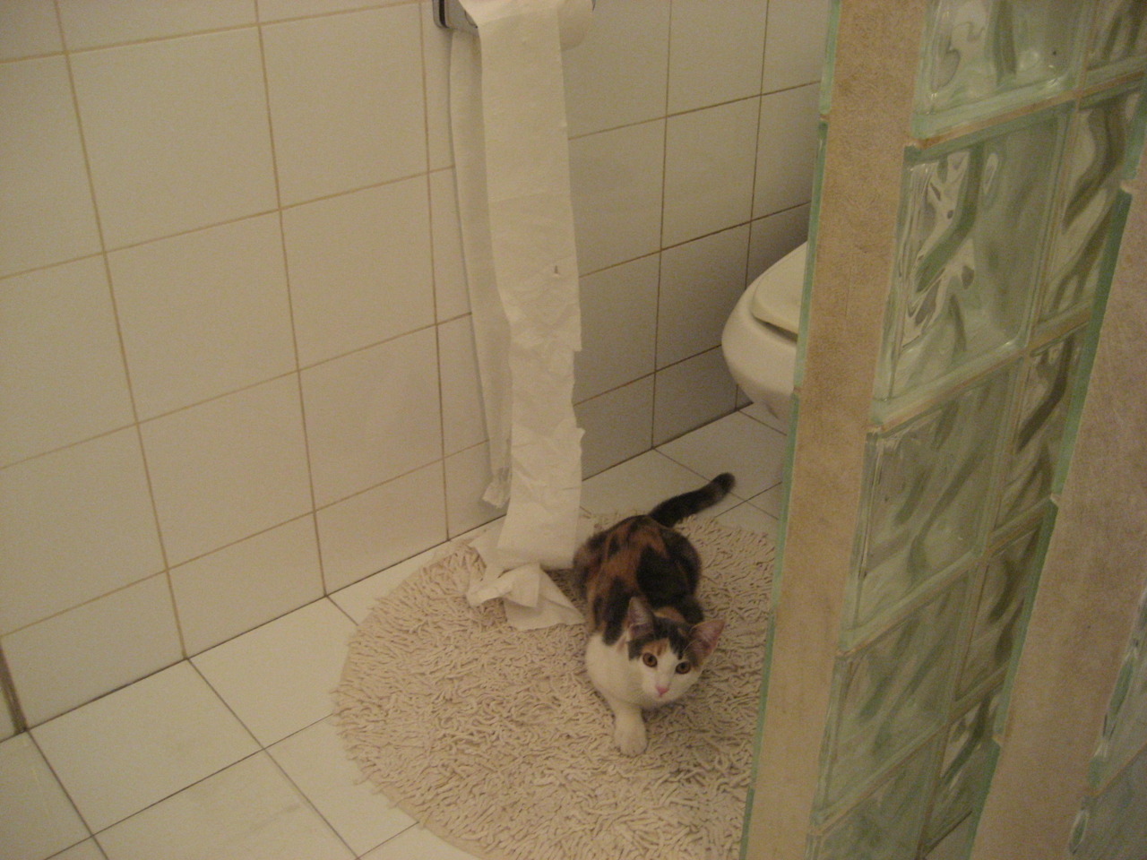 血脉相传:车手家族的世代传奇,车手jason