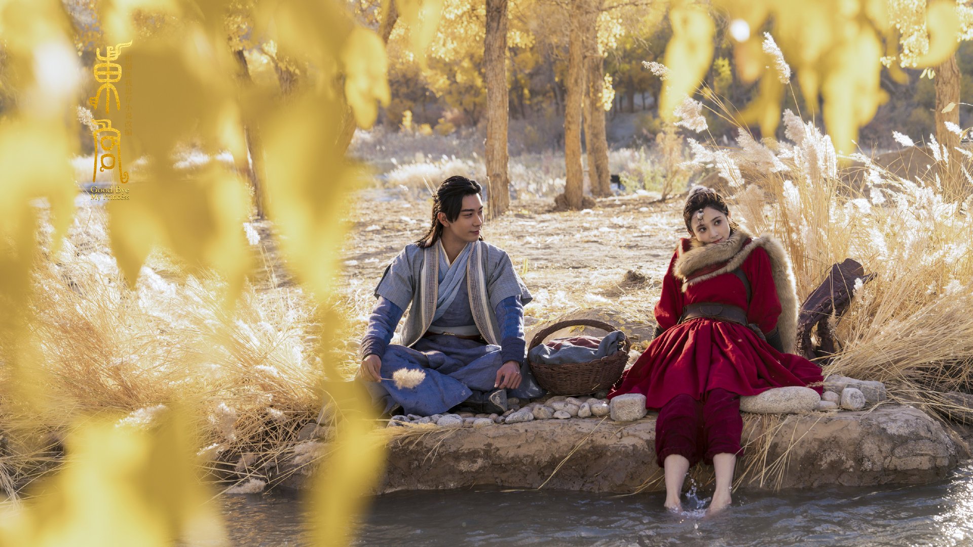 足球运动在青少年中的普及率持续提升,论青少年足球发展的重要性