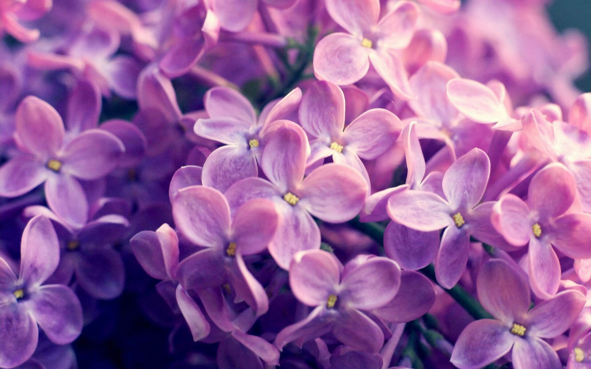 爱游戏体育app-马布里荣获篮球名人堂入选资格，马布里nba十佳球