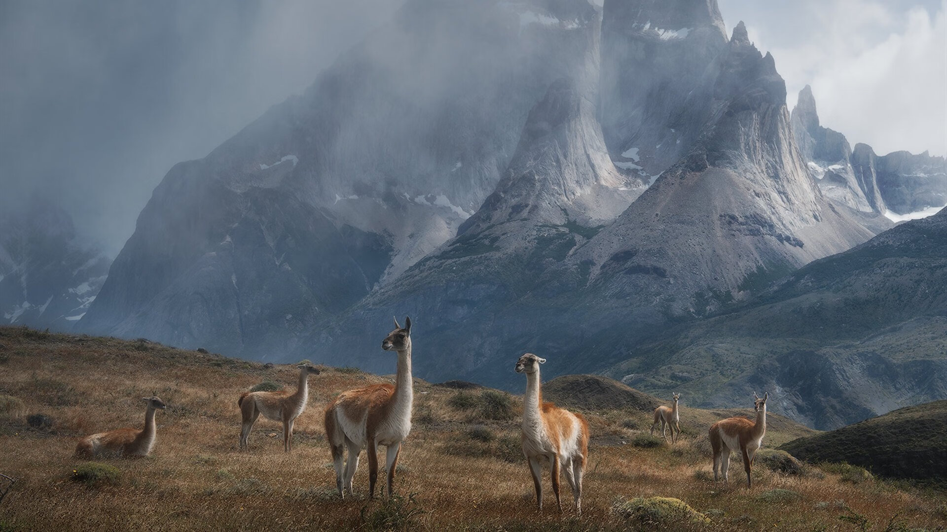 爱游戏体育app-关键时刻！欧洲杯预选赛中的胜负悬念，欧洲杯预选赛全胜
