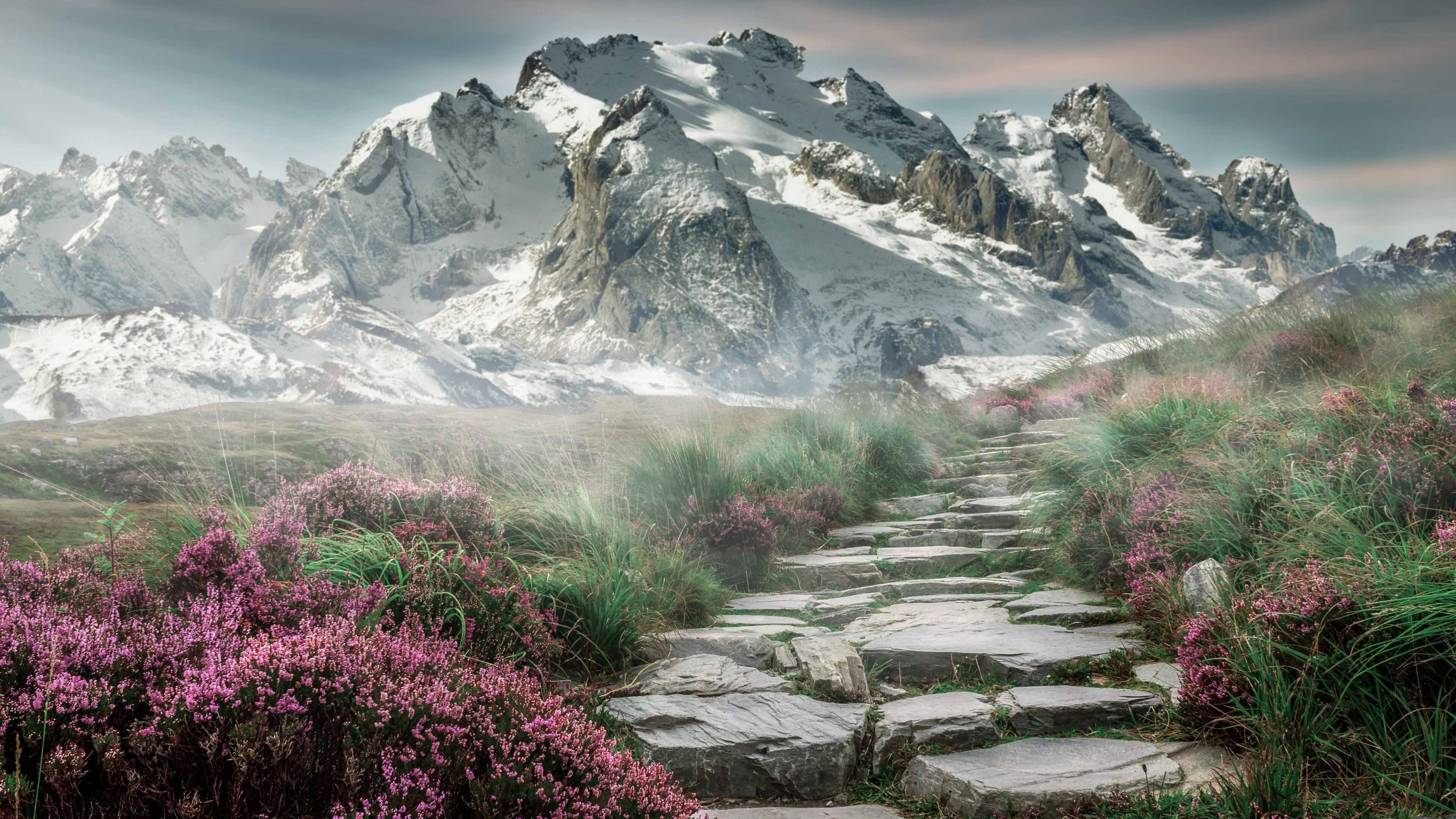 公牛队场均得分领跑联盟,打出强势开局,公牛队比赛