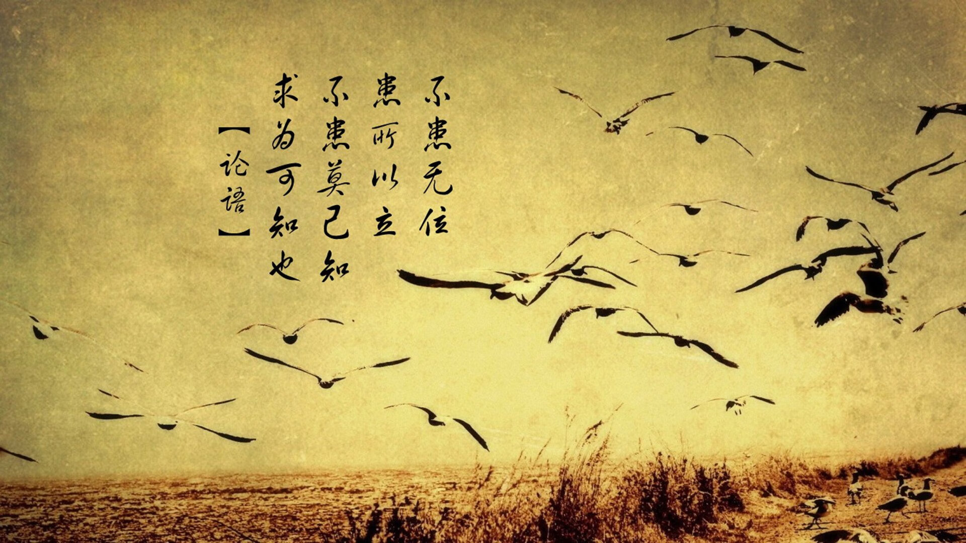 比利时足球队在比赛场上表现出超凡的实力,比利时足球队是强队吗