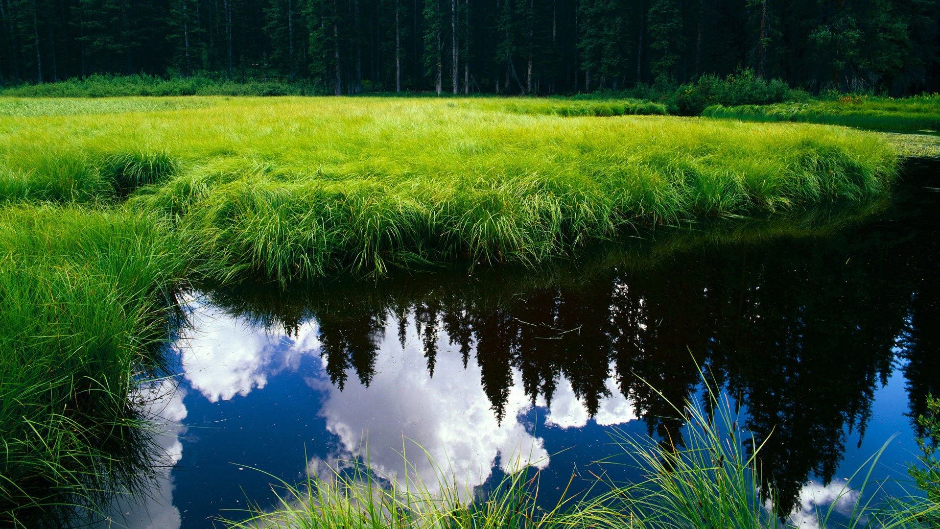 汉诺威主场告捷,德甲中游位置稳步前行,汉诺威awd球场