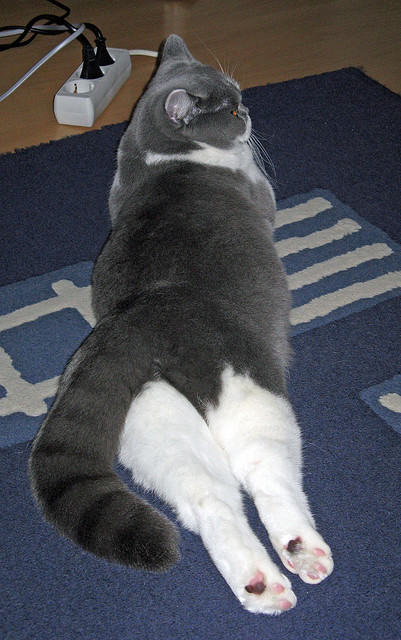 爱游戏体育官方网站-罗马城德比将至，谁能笑到最后？，意甲罗马德比