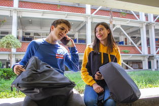 爱游戏中国官方网站平台-世界青少年攀岩技能大赛在上海盛大举行，众少年展风采，2020年全国青少年攀岩锦标赛