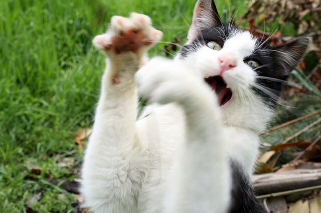 爱游戏官网-中超边后卫反向跑动与补位效率数据整合，中超 左后卫