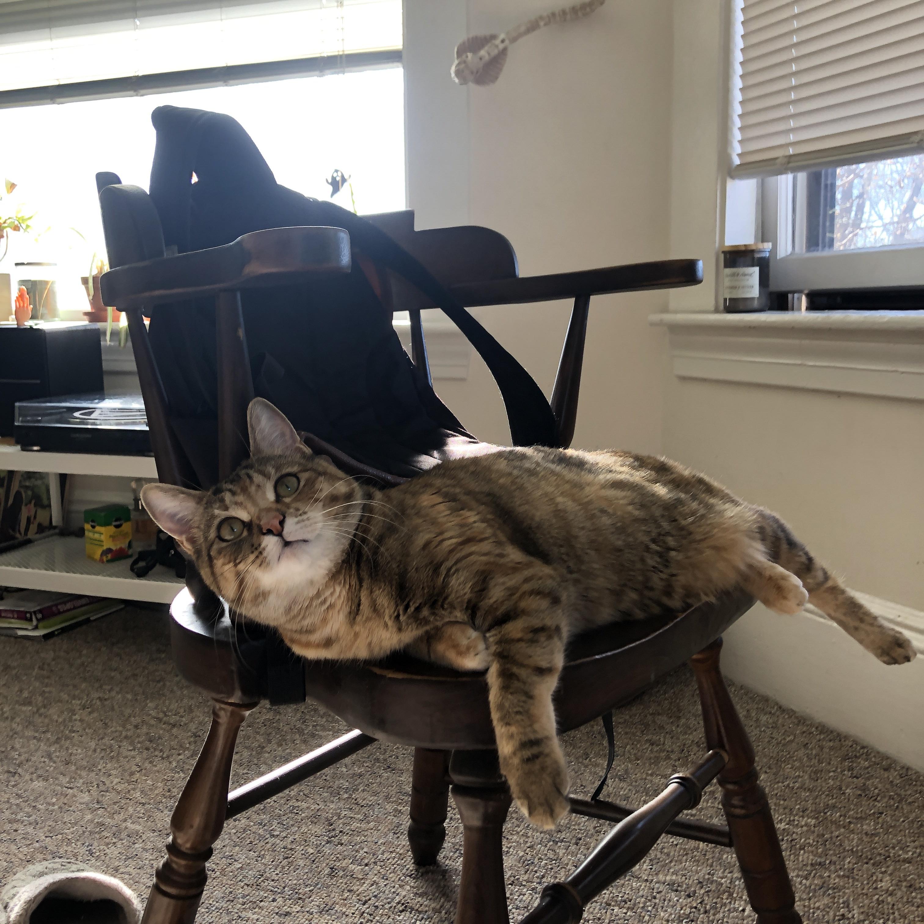 体育场馆设施智能升级,体育场馆智能化系统