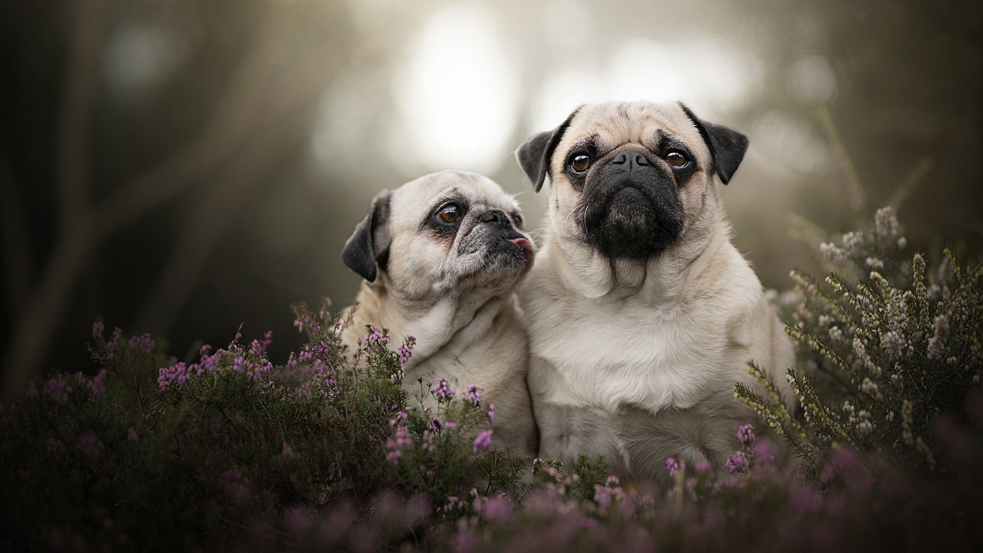 出发和转身动作对比赛影响分析,出发和动身是不是近义词