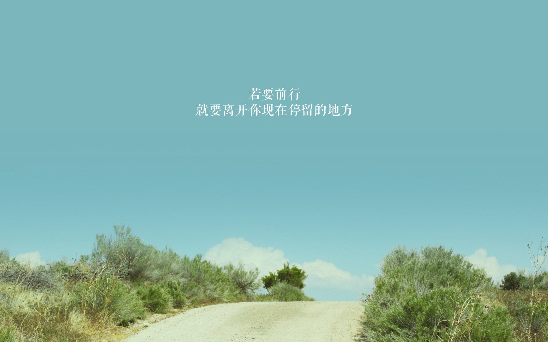 奥运备战官方发布最新训练标准,备战奥运会训练计划