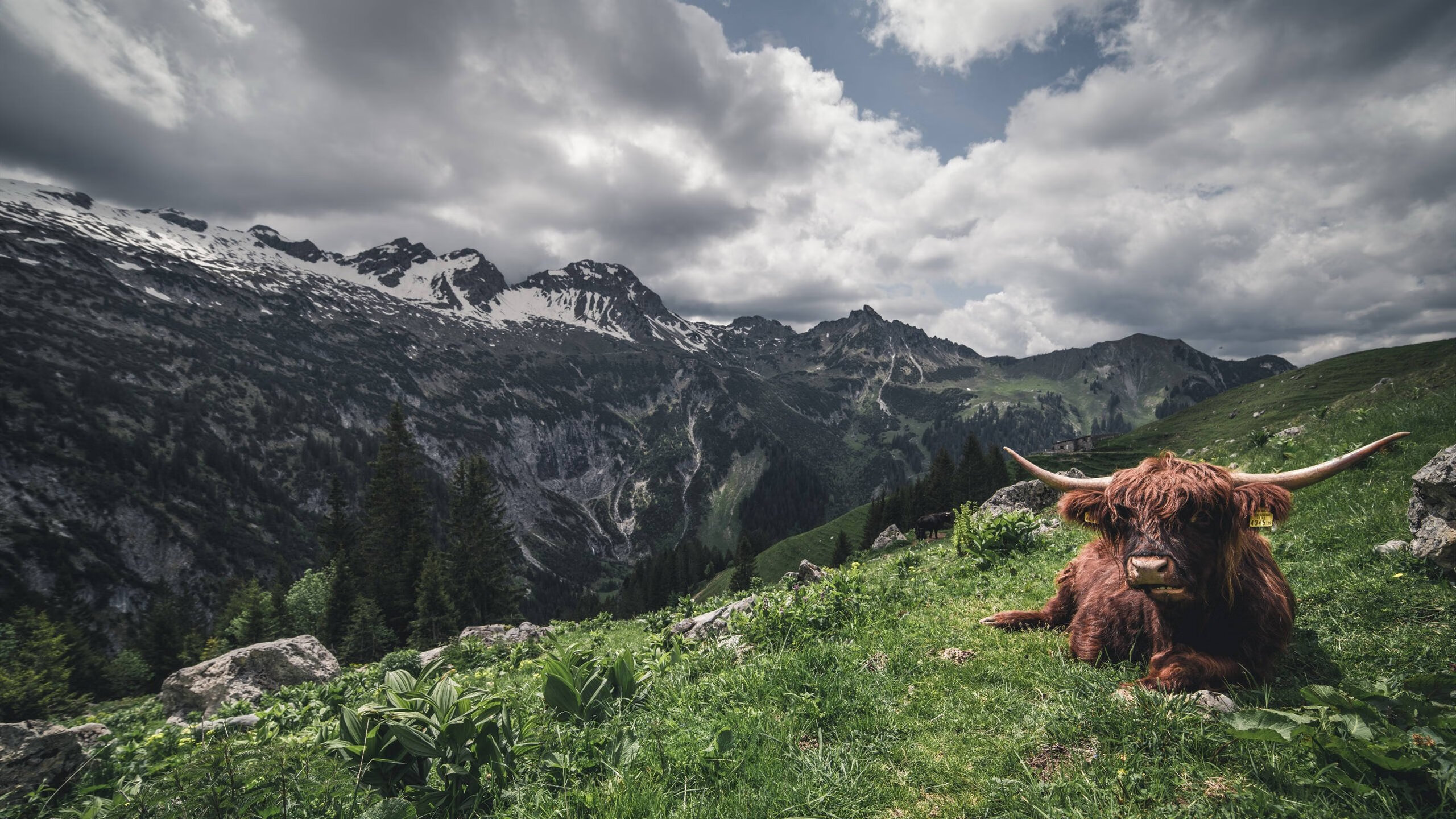 爱游戏体育-拉文谈赛季目标是进攻效率再提升，拉文2020赛季