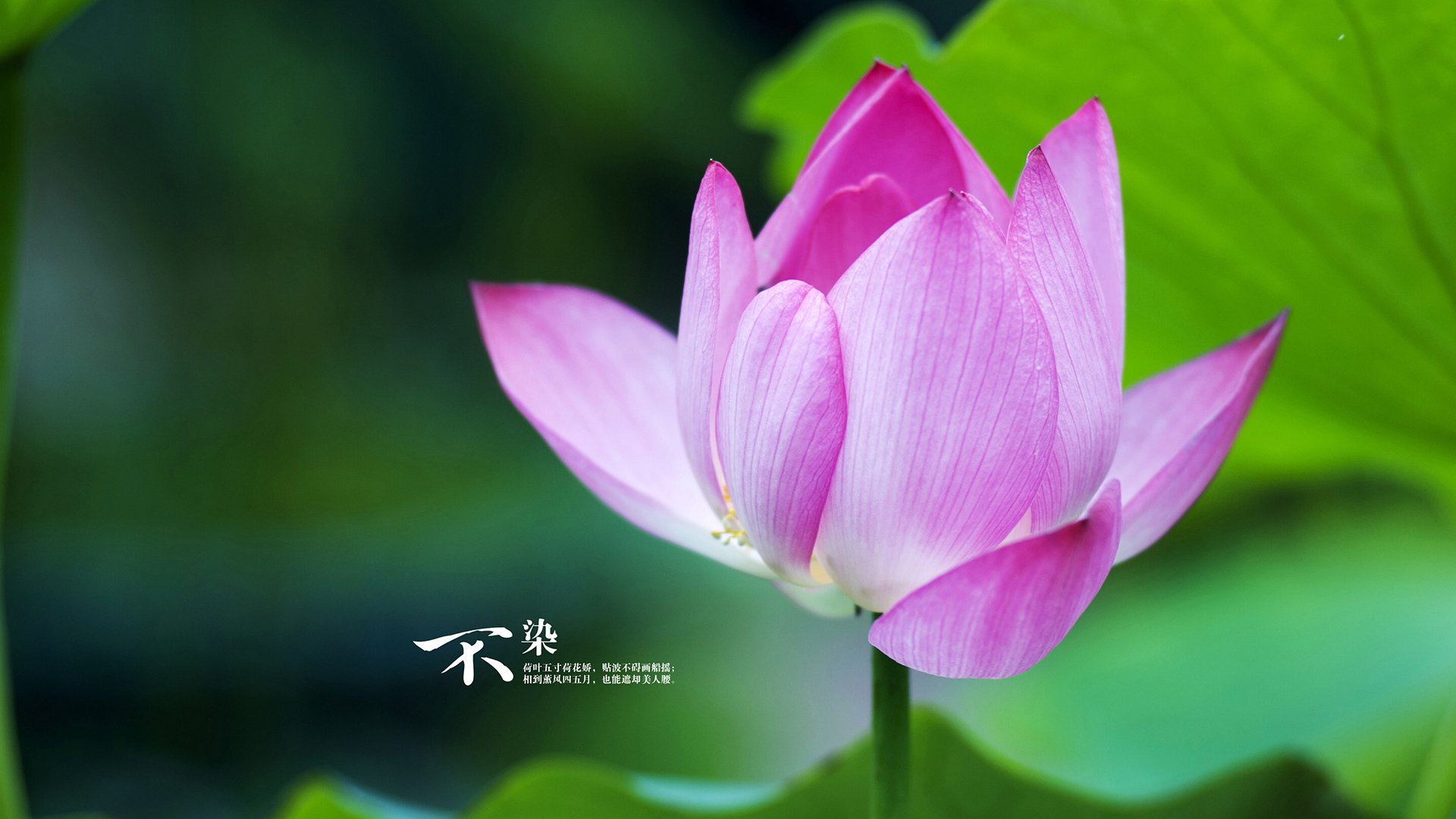 爱游戏登录入口-球队连续获得联赛公平竞赛奖项体现整体职业素养与纪律建设，连续获得联赛冠军最多的球队