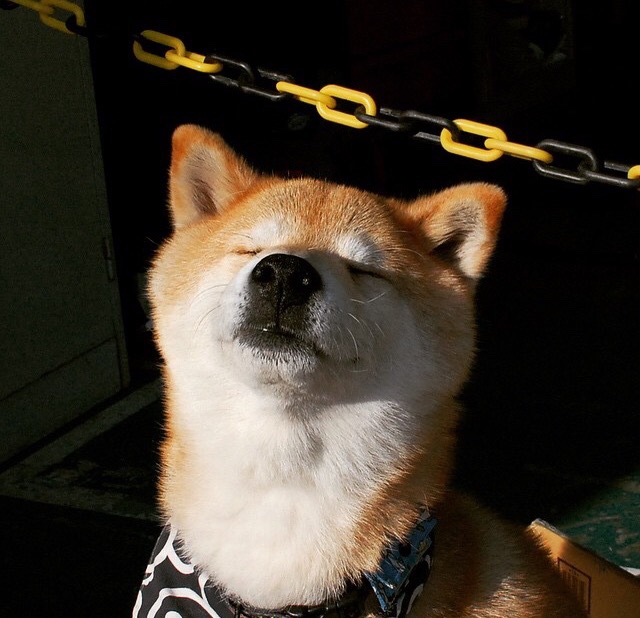 爱游戏在线登录入口-美洲杯激情碰撞：明星表现极致精彩！，美洲杯视频集锦