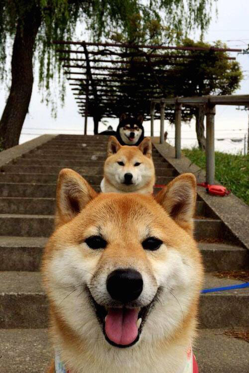 美洲杯绝杀时刻：动人心弦的逆转奇迹，美洲杯决赛精彩瞬间