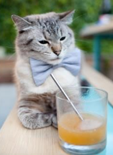 足球运动员进校园宣传足球精神,影响深远,足球进校园宣传标语